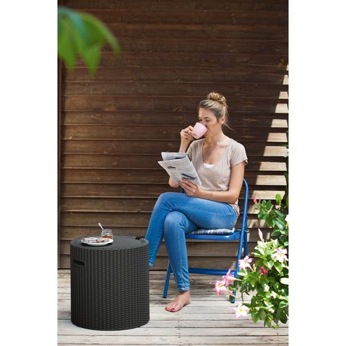 Keter Tabure frigo Cool Stool 39L, braon  slika 2