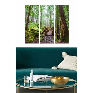 Dekorativna Slika od MDF-a u Više Boja (Set od 3 Komada) - MDF1312976