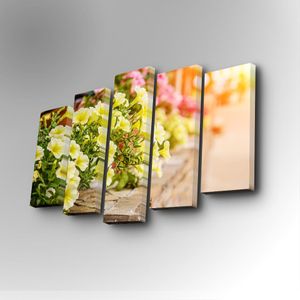 5PUC-064 Multicolor Decorative Canvas Painting (5 Pieces)