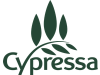 Cypressa