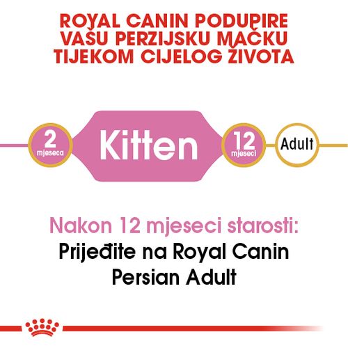 ROYAL CANIN FBN Persian KITTEN, potpuna i uravnotežena hrana za mačiće, specijalno za mačiće pasmine Perzijska mačka u dobi do 12 mjeseci, 2 kg slika 9