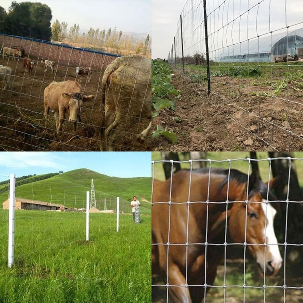Farmer pletivo visina 100cm,dužina bunta 50m slika 4