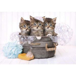Lovely Kittens puzzle 180pcs
