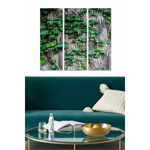Dekorativna Slika od MDF-a u Više Boja (Set od 3 Komada) - MDF1030964