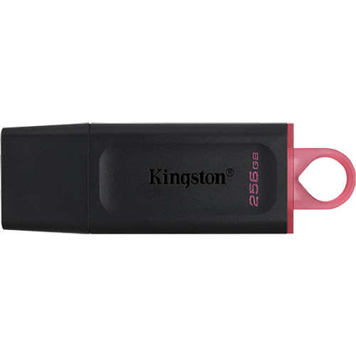 Flash USB 256 GB Kingston 3.2 Exodia DTX/256GB slika 1