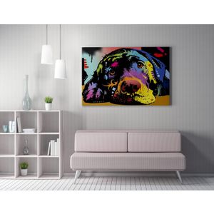 WY164 (50 x 70) Multicolor Decorative Canvas Painting