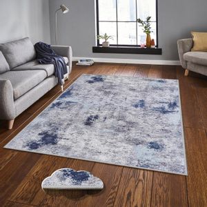 EEXFAB829 Multicolor Carpet (160 x 230)