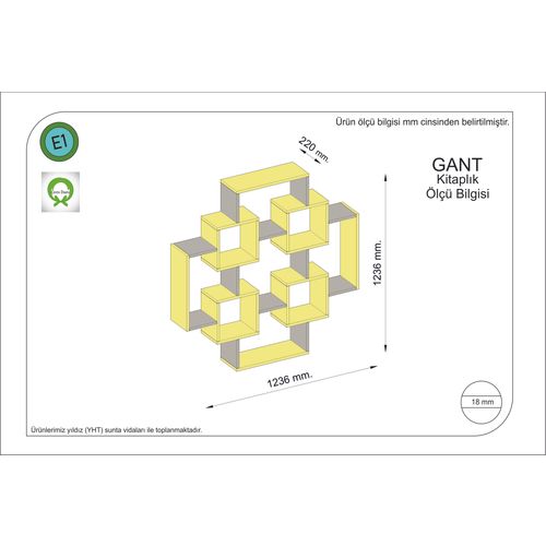 Gauge Concept Regal WALKER antracit-žuta slika 2