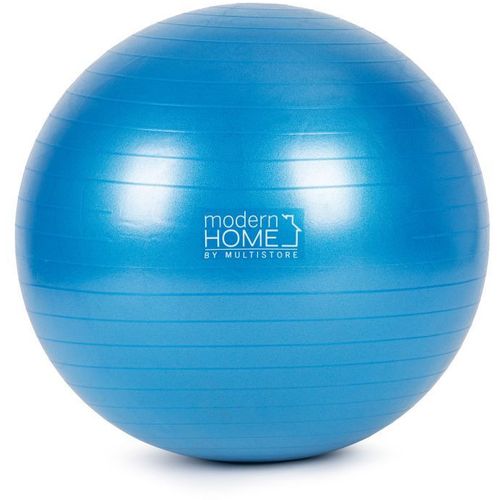 ModernHome Velika lopta za fitness + pumpa MS-ABB65 slika 1