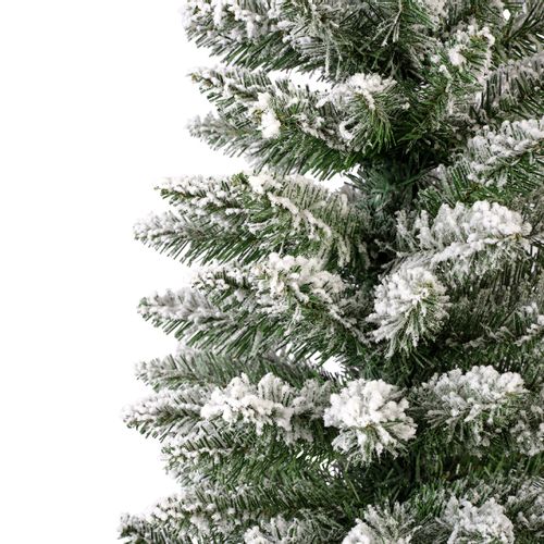 Novogodišnja jelka Pencil Pine Showy 180cm slika 5