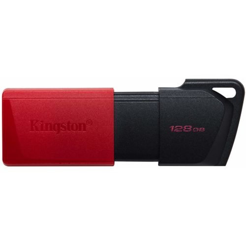Kingston USB flash memorija 128GB DTXM/128GB slika 1