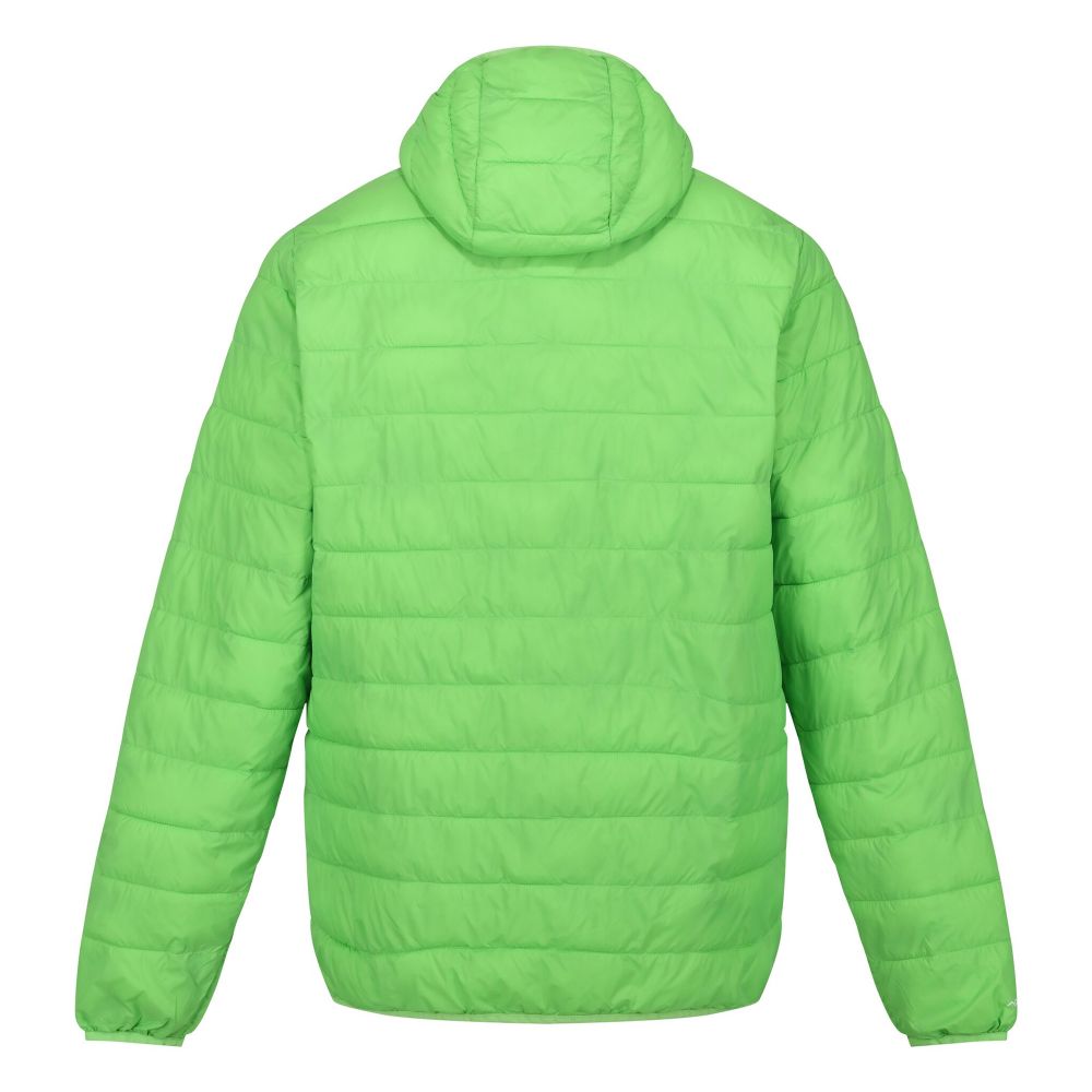 Regatta Muška jakna Hooded Hillpack Jasmine Green slika 3