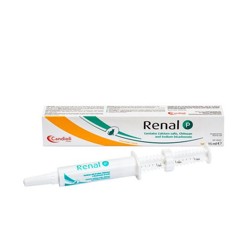 Candioli Renal P pasta 15 ml slika 1