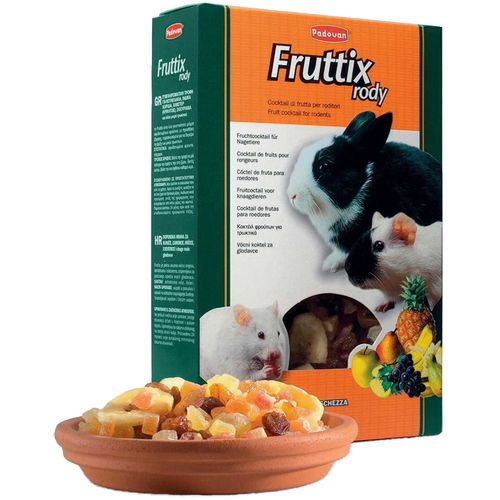 Padovan Fruttix za glodavce 250 g slika 1