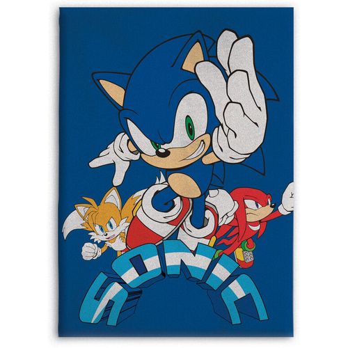 Sonic the Hedgehog polar blanket slika 1