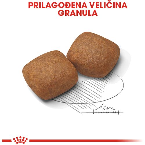 ROYAL CANIN SHN Giant JUNIOR, Potpuna hrana za pse specijalno za štence divovskih pasmina (konačne težine > 45 kg)  od 8 do 18/24 mjeseci starosti, 15 kg slika 8