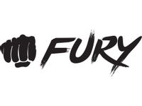 Fury