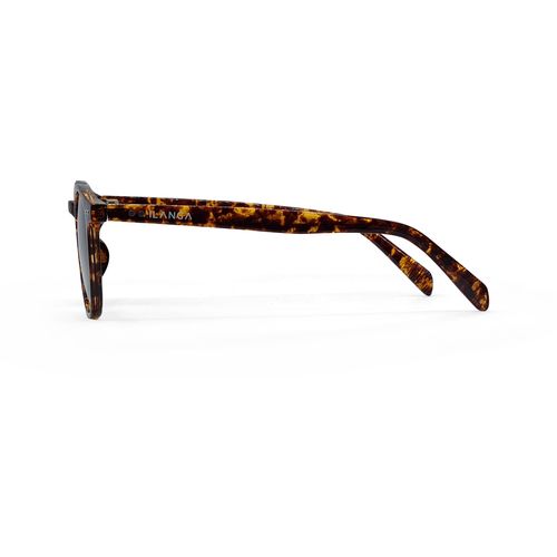 Ilanga Eyewear sunčane naočale Cuba Libre smoke yellow tortoise slika 3