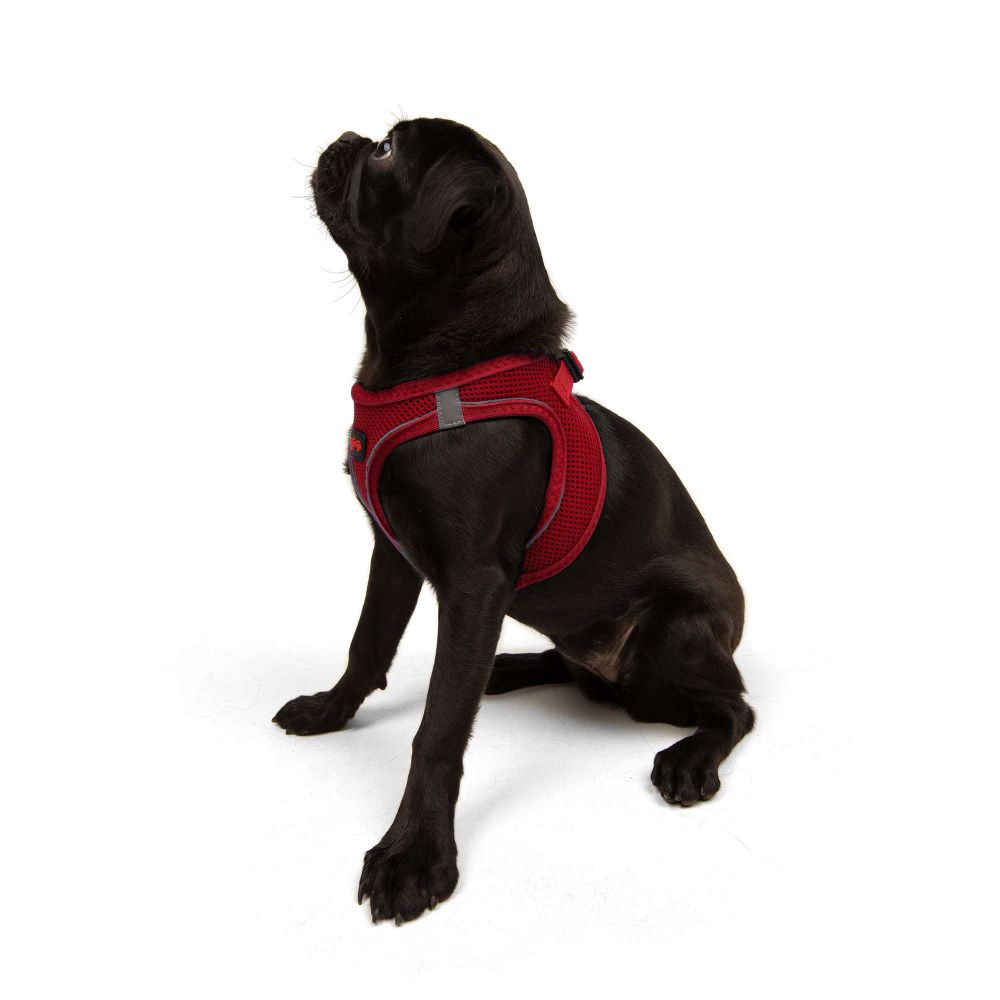 Dog harness Air-Mesh, colour: red slika 3