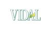 Vidal logo