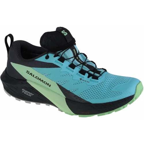 Salomon sense ride 5 gtx w 472160 slika 5