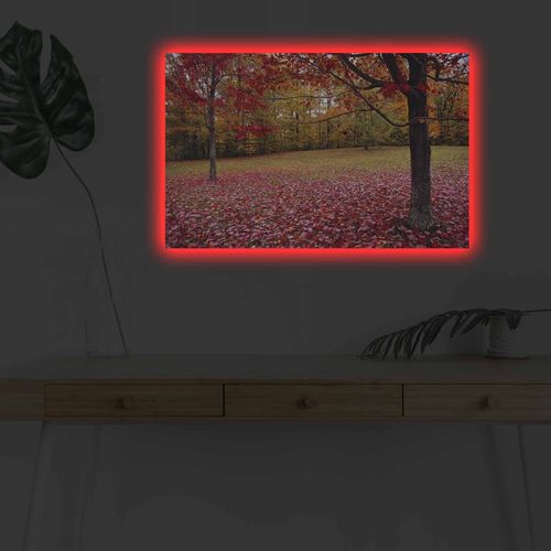 Wallity Slika dekorativna platno sa LED rasvjetom, 4570DHDACT-041 slika 1