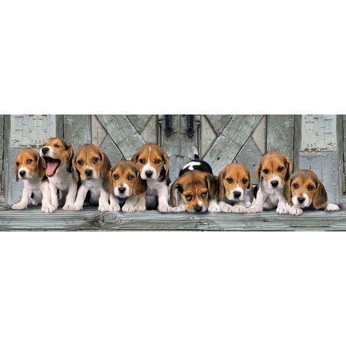 Beagles Panorama puzzle 1000pcs slika 1