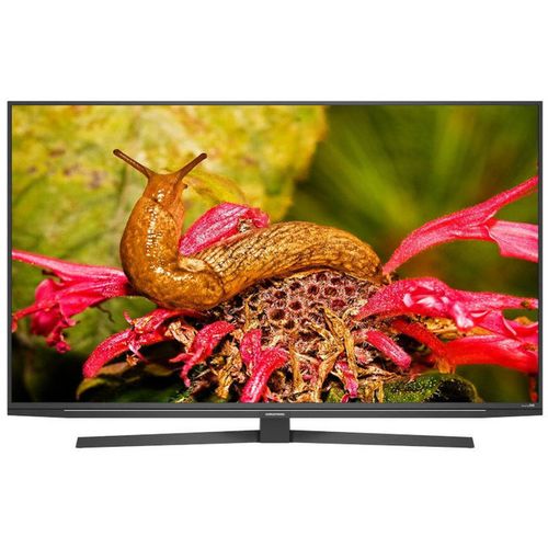 Grundig LED TV 49 GEU 8900A slika 1