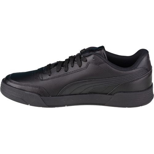 Puma caracal l 369863-01 slika 2