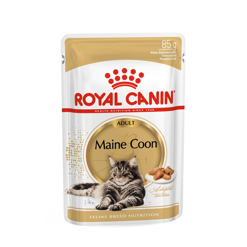 ROYAL CANIN FBN Maine Coon, potpuna i uravnotežena mokra hrana u umaku za mačke, specijalno za odrasle mačke pasmine Maine Coon starije od 15 mjeseci, 12x85 g slika 1