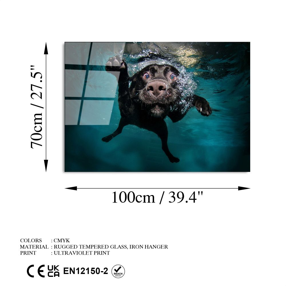 Dekorativna Slika na Kaljenom Staklu UV-166, 70 x 100 cm, Višebojna slika 8