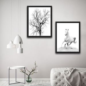 Wallity Uokvirena slika (2 komada), White Horse Set