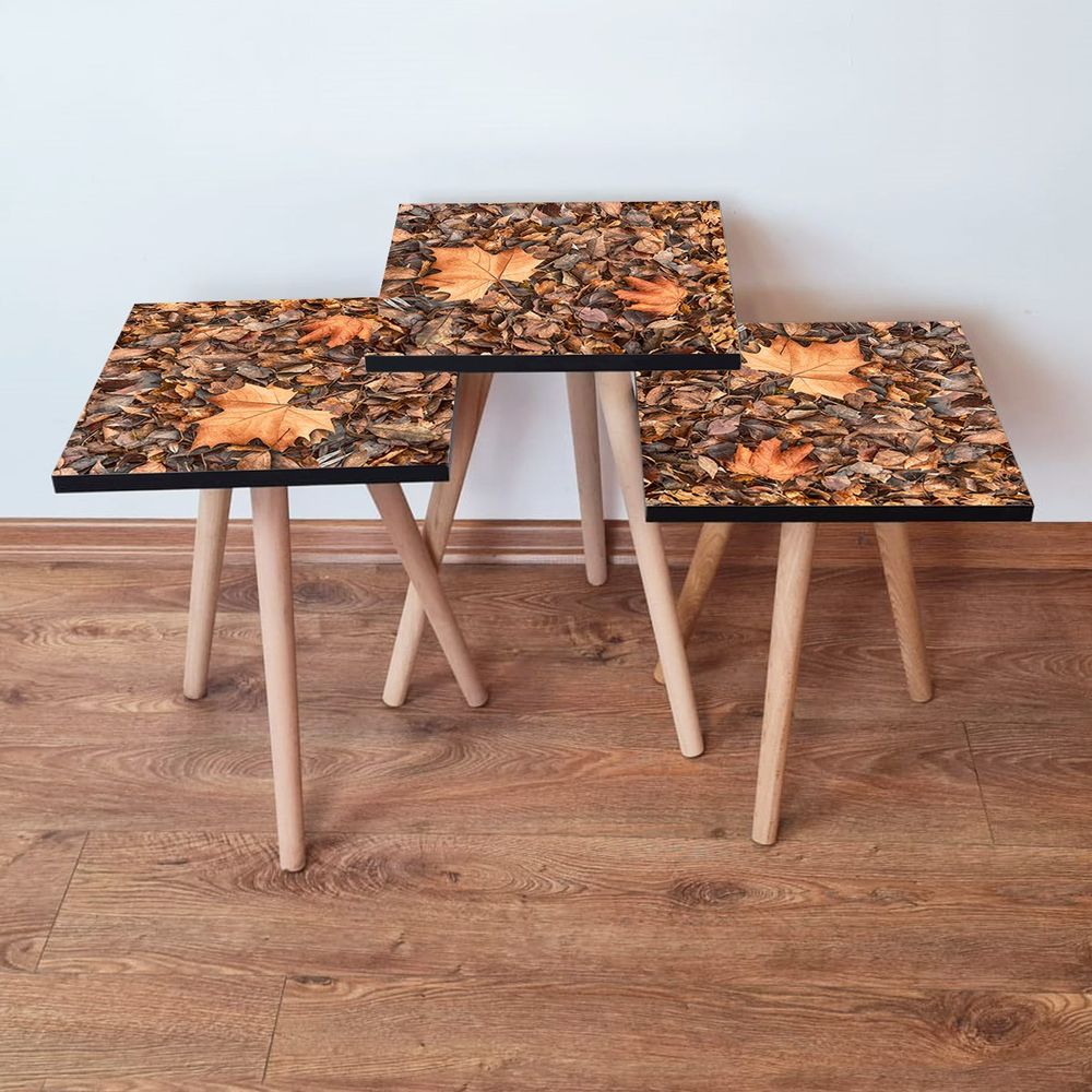 Nesting Table 3Shp22 - Set od 3 Stola u Boji Kamila i Braon slika 1